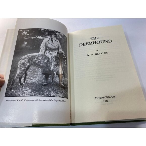 The Deerhound, A.N. Hartley - 1968 (1972 Edition), H/C Book, VGC - Picture 5 of 6